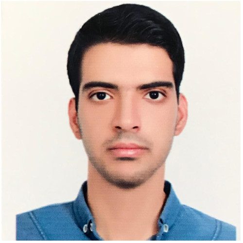 Moein Salimi AI Engineer